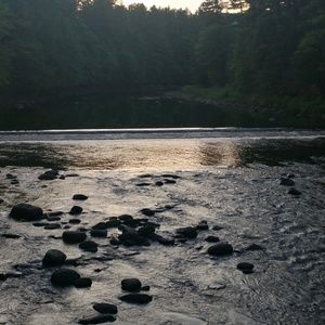 Meet your Posher, Traci